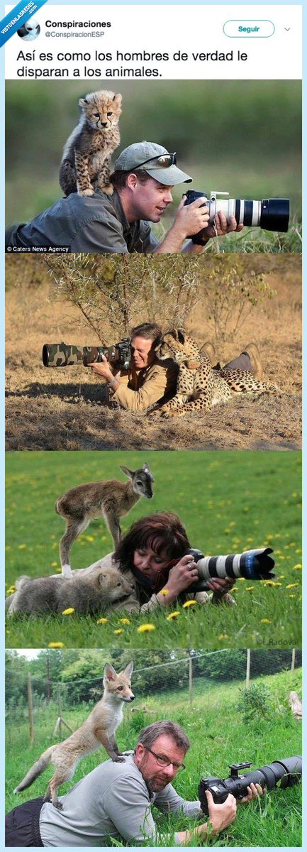 vistoenlasredes's tweet photo. La única manera de disparar a los animales que deberíamos permitir, por @ConspiracionESP https://t.co/ZQ5ttG42zO https://t.co/pZEa79ntDn