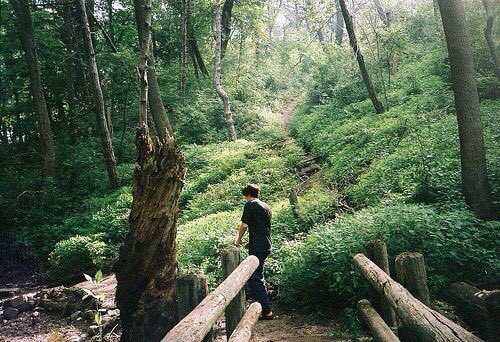 Adventures 🌳🌲🌿 with this wild one 🌱🌷 <a href="/WildNonaMeadows/">Winona Meadows 🐸</a> ☀️