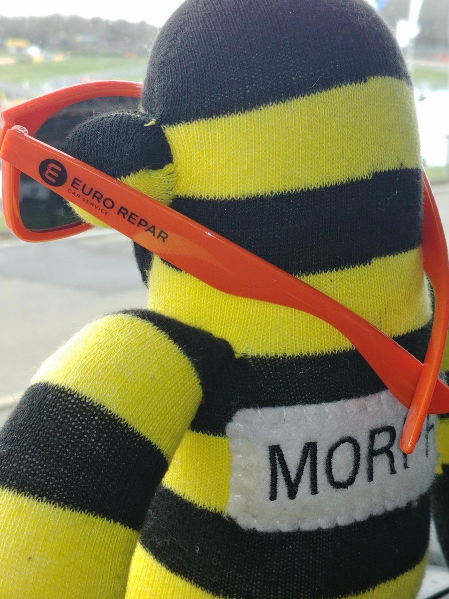 I am so loving these <a href="/ERCSUK/">Eurorepar Car Service UK</a> shades <a href="/UKPMR/">Power Maxed Racing</a> <a href="/DunlopBTCC/">DunlopBTCC</a> #GoGoPMR #BTCC
