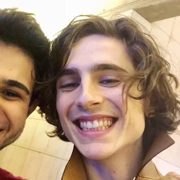 best of timothée on Twitter: