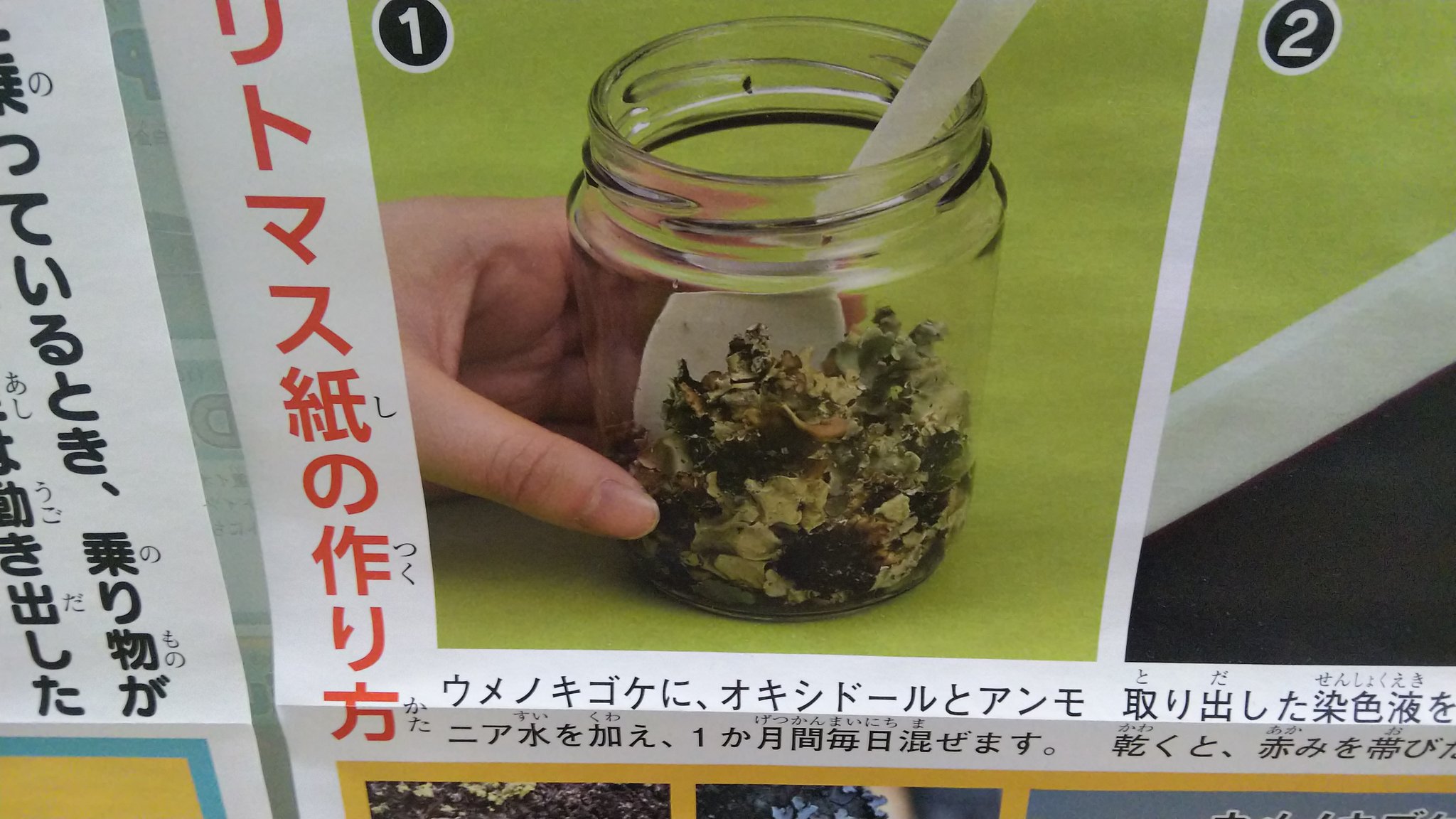 تويتر 理科教師とらふずく على تويتر リトマス試験紙ってご存知ですよね 酸性か塩基性かを簡易に調べるための色素を染み込ませたもので 酸性に傾けば赤に 塩基性に傾けば青になる試験紙です 簡易なため小学校位でしか使わないし 身近なものだとアントシアンで