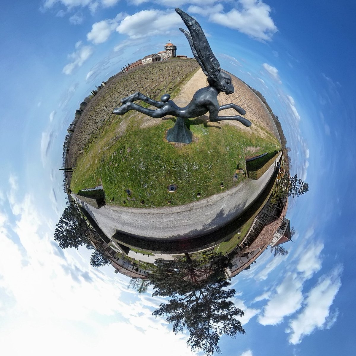 La petite planète du lièvre de Barry Flanagan au Château Smith Haut Lafitte #360art #360panorama #smithhautlafitte #caudalie #tinyplanet #sculpture #barryflanagan #lièvre #hare #landart #vignoble #wine #grandcru #Bordeaux #Gironde #NouvelleAquitaine #ricohtheta #ricohthetafrance