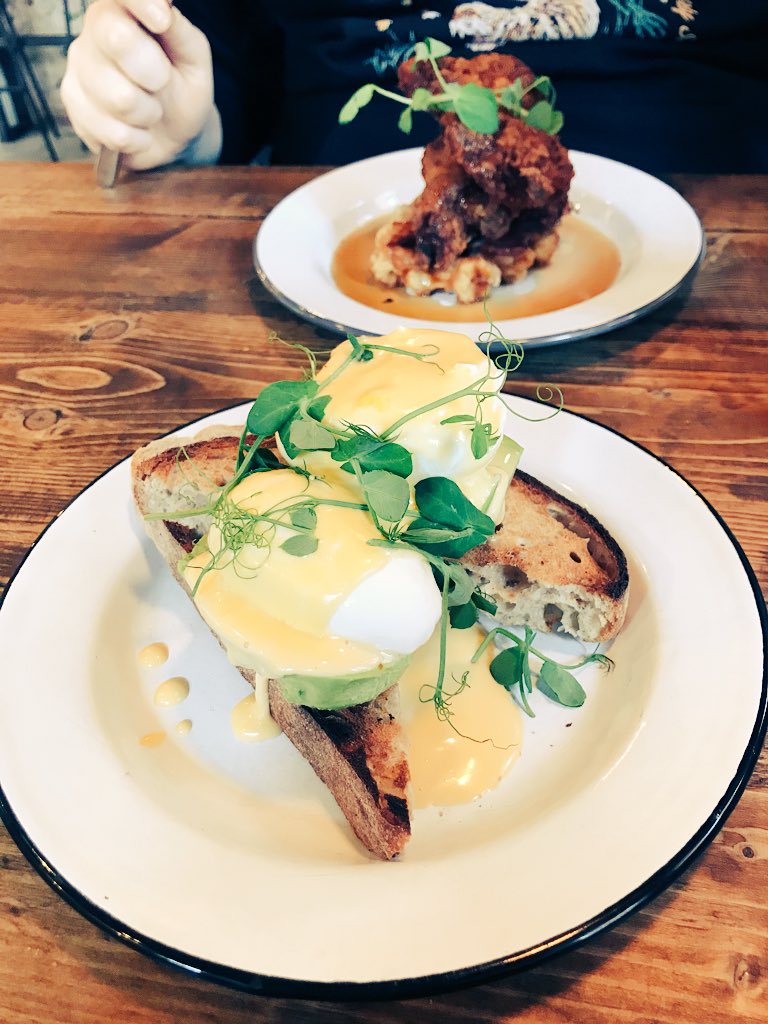 Elise__Evans's tweet photo. Breakfast this morning was @YorksIKON 🍳 Eggs were good man! https://t.co/f1n2RnMQJn
