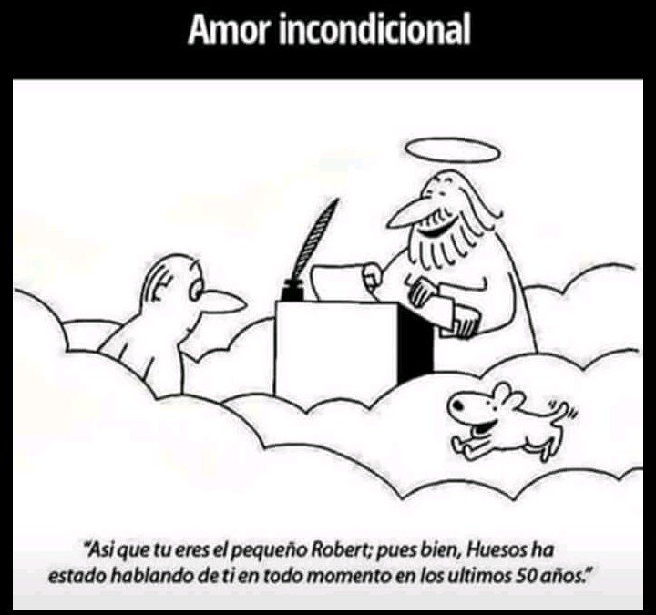 perezreverte's tweet photo. Ojalá fuera cierto. https://t.co/9uPEb7dtnZ