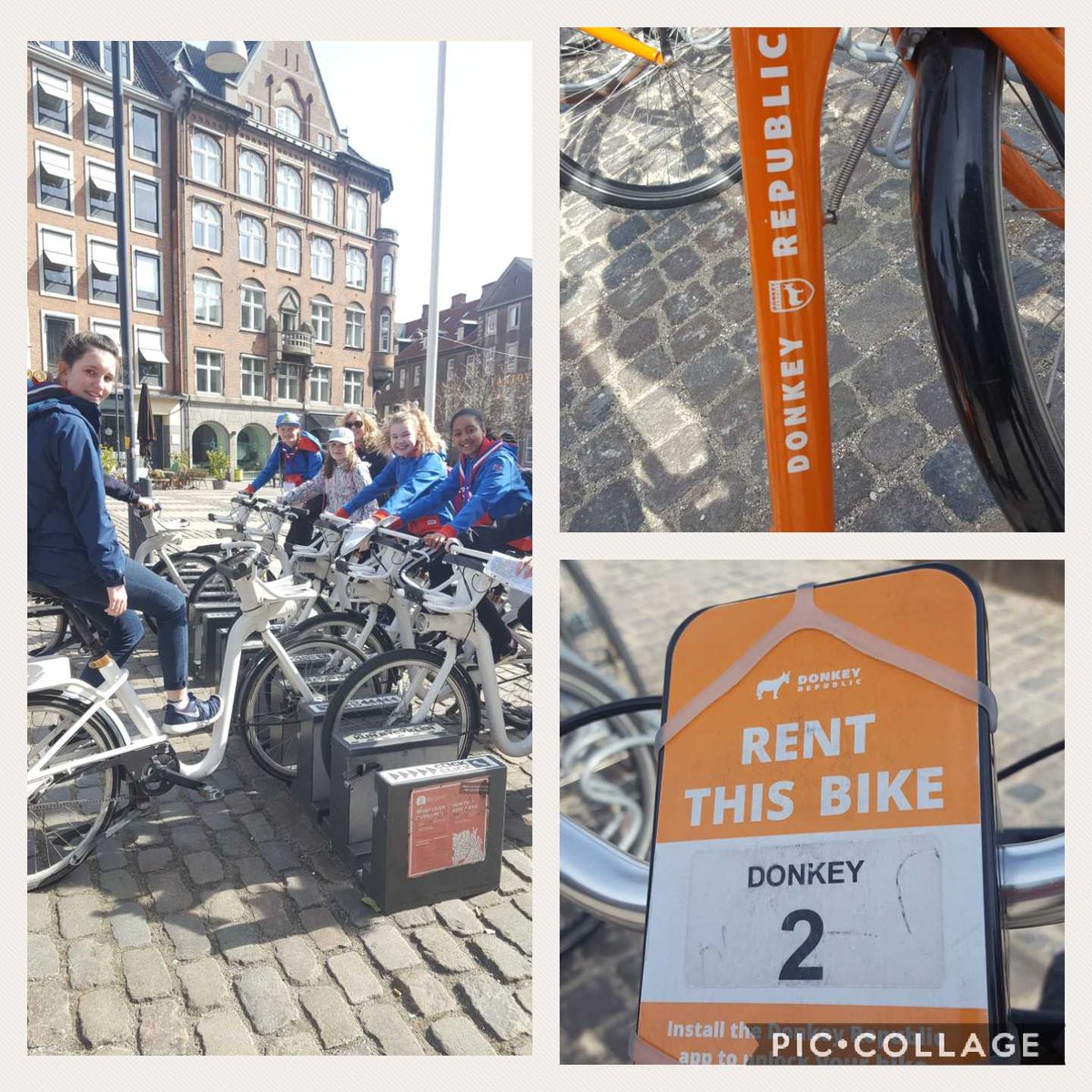 AberdonDashers's tweet photo. When in Copenhagen we travel by bike! @DenmarkDash @GirlguidingAbdn @GirlguidingScot 
#DenmarkDash https://t.co/66UkZ8otiv