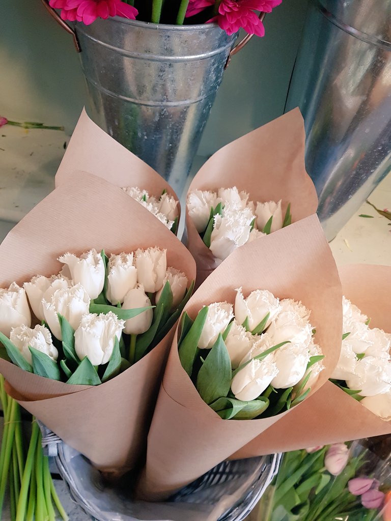 Frilly Tulips - what more could you want 😍