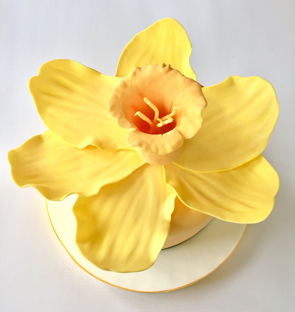 shapecake's tweet photo. shapecake Daffy hoping to make a little bit for #Mariecurie today. Good luck Allyson in your fantastic fundraising 👏🏻👏🏻👏🏻 https://t.co/QdSxNR7yzm