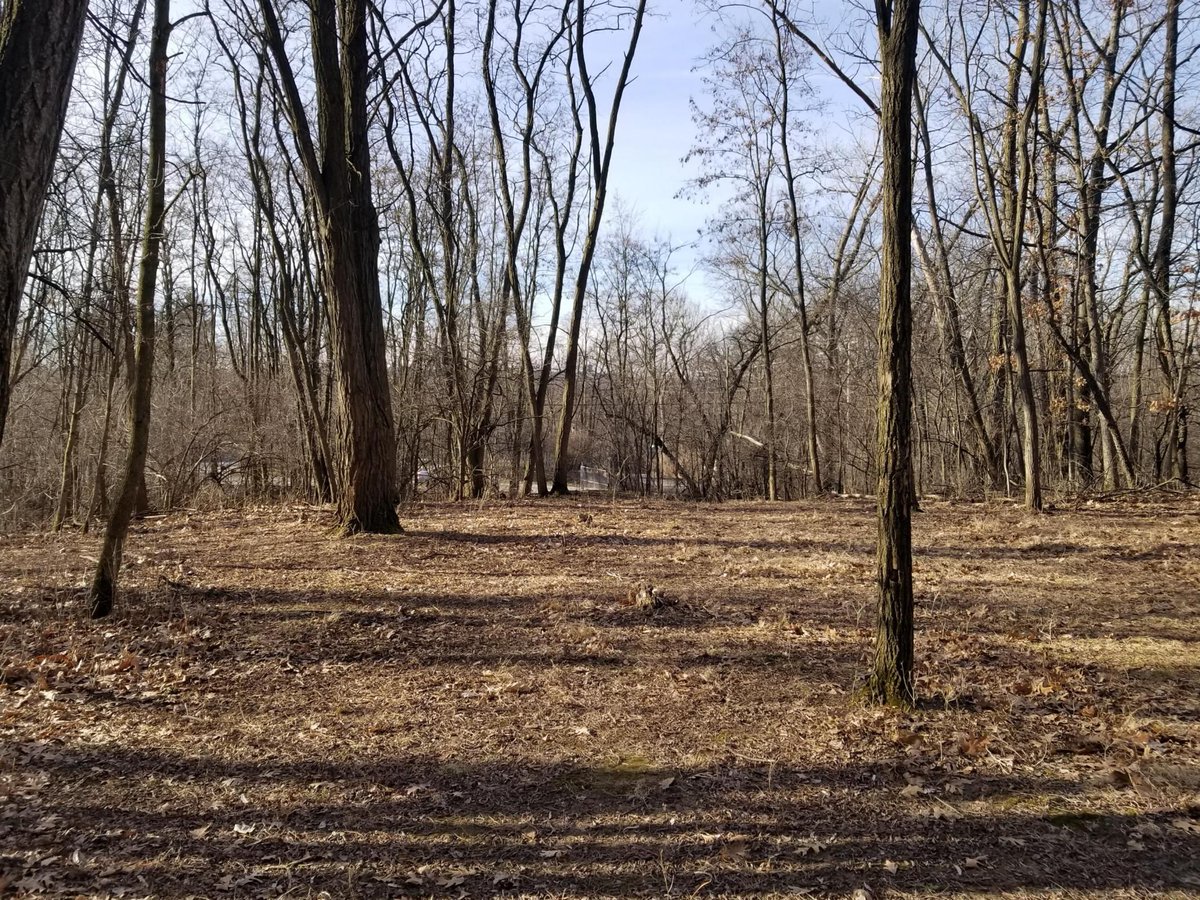 TheLienTeam's tweet photo. Bring your builder ๐จ Check out our #newestlisting ๐ก!
Ultra-private double lot (0.64 acre) in the Lake Como Beach area๐โต๏ธ๐๐ผโโ๏ธ! This heavily wooded ๐ฒ๐ณ๐ฆ parcel is perfect for your serene lake setting! Minimum building restrictions๐ .
#dreamwithlien #thejefflienteam https://t.co/zEWqCzoWYR