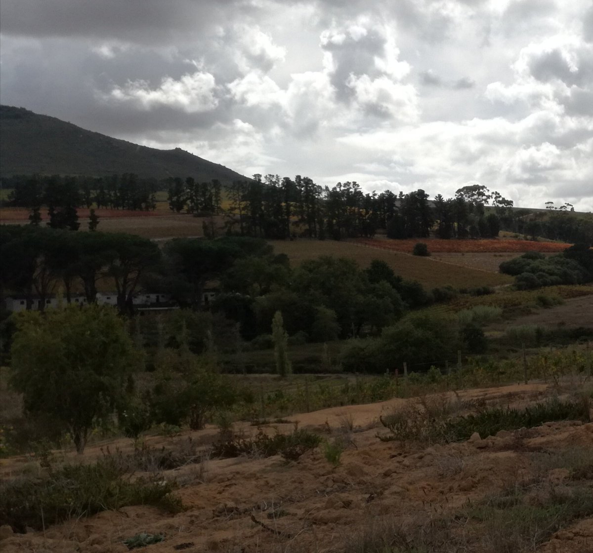 chezrun's tweet photo. @dirtopia https://t.co/mJh0DA3ISV