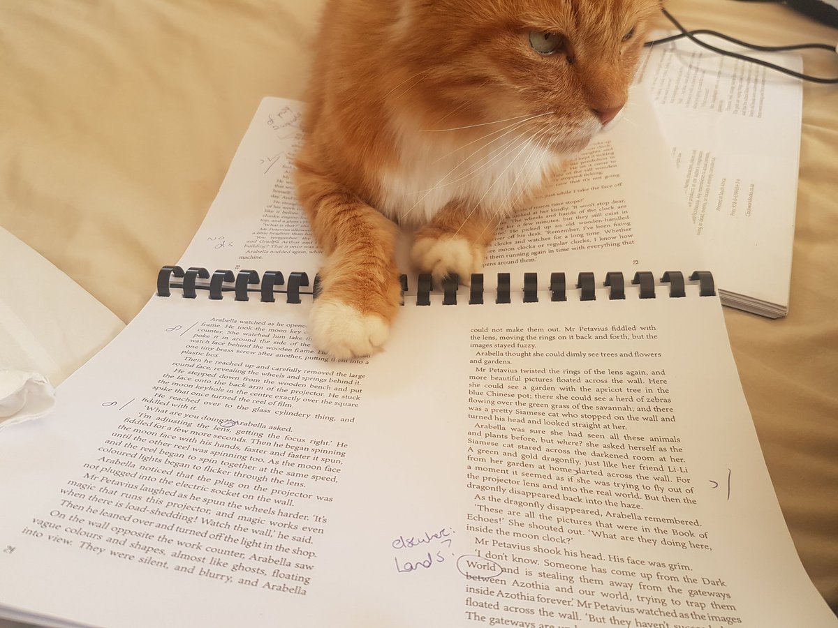 ClockworkFeline's tweet photo. Helping my human capture the proofing. #Arabella #ClockworkBooks https://t.co/kRcLQTAXRk