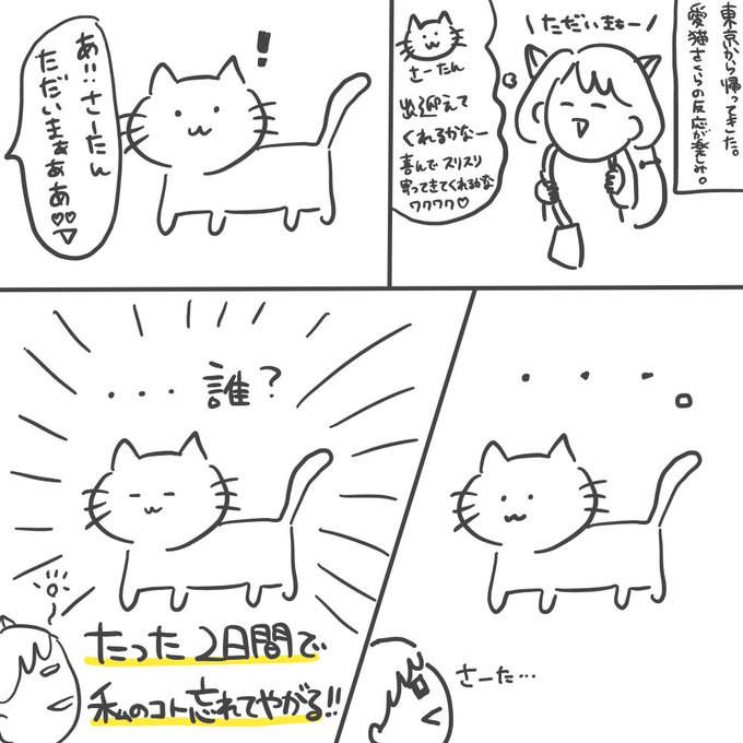 たっつん ゆるかわイラスト Tatsuun7 さんのマンガ一覧 16ページ ツイコミ 仮