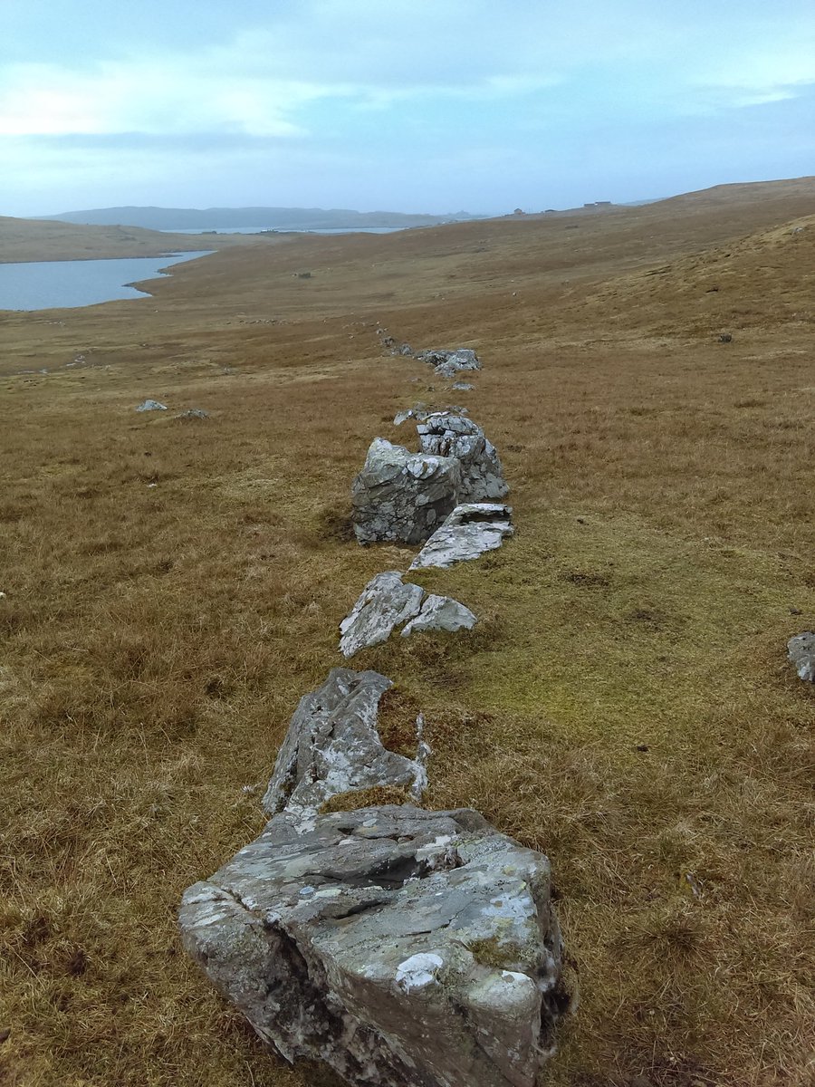ClaireLChristie's tweet photo. Out exploring the prehistoric settlement site at Pinhoulland, West Mainland, Shetland. Loads of field boundaries, prehistoric houses,and clearance cairns! #Shetland #Prehistoric #BronzeAge #Multiperiod https://t.co/t5fW0hhvZE