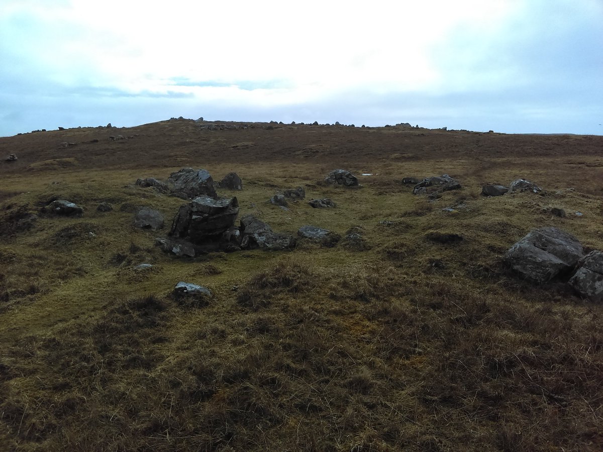 ClaireLChristie's tweet photo. Out exploring the prehistoric settlement site at Pinhoulland, West Mainland, Shetland. Loads of field boundaries, prehistoric houses,and clearance cairns! #Shetland #Prehistoric #BronzeAge #Multiperiod https://t.co/t5fW0hhvZE