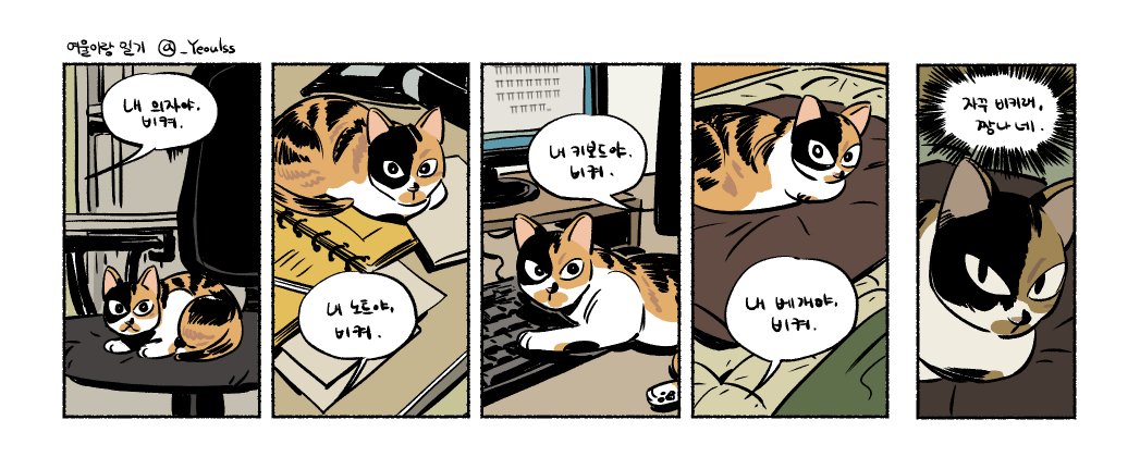 한번도 비킨 적 없으면서