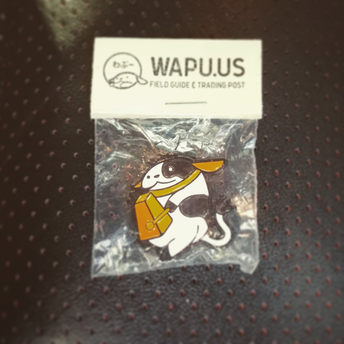 TheEdPerry's tweet photo. Another day, another @wapuus ๐ Excited to be here in #JAX for @wordcampjax at @KeiserU Let's Press some Words!! #wordcamp #wordpress #wpfam #unodospress https://t.co/zxrqhXzyRc