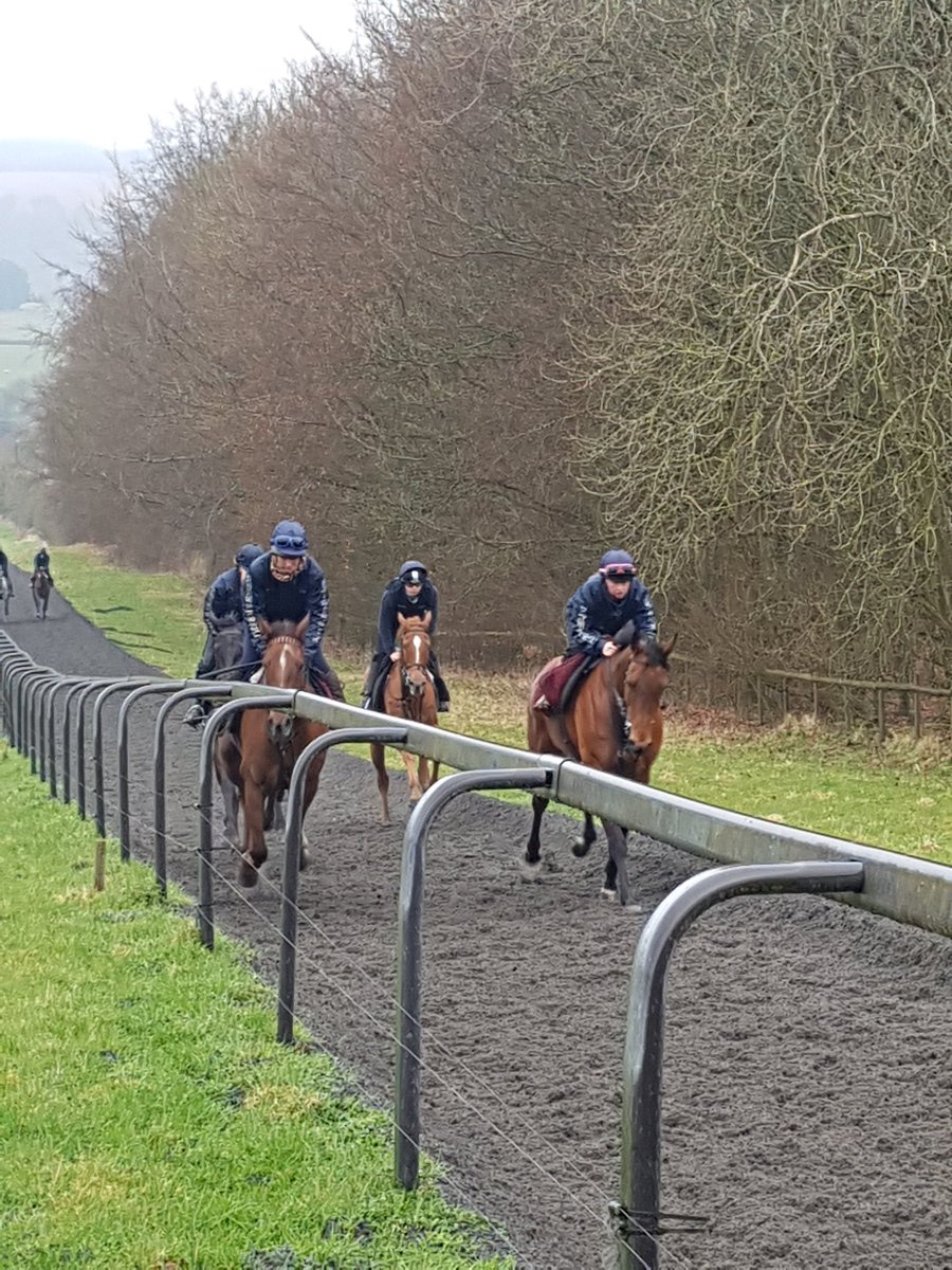 tracyharrison8's tweet image. @Course_Distance fantastic morning @kimbaileyracing - thank you. A pleasure to meet all the team at Thorndale Farm and the equine stars, delicious breakfast too 🏇#memories