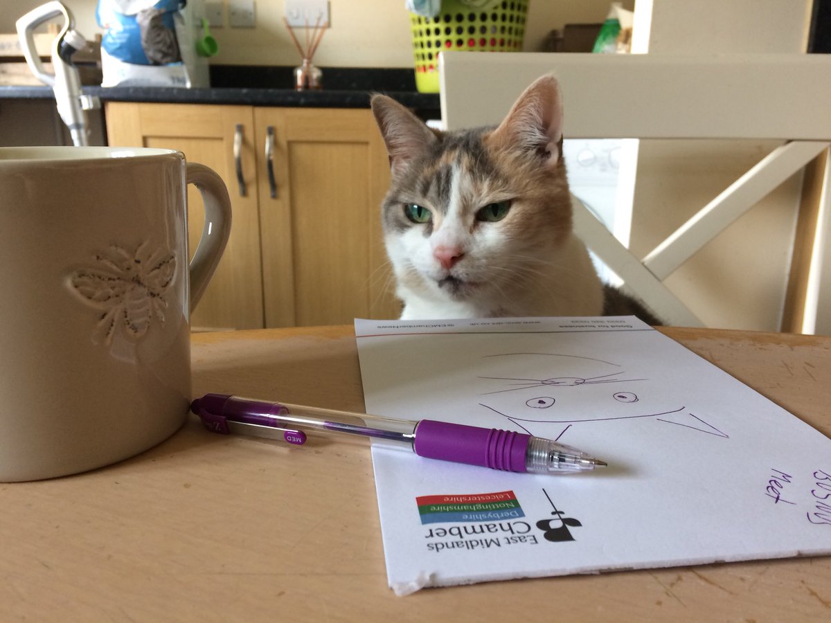 MiniMikeish's tweet photo. When you are ready for a meeting but no other attendees are ready or as punctual as you so your just sitting their waiting ... #catsoftwitter #businesscat #meetingsfromhell https://t.co/xh0EvSa3mM