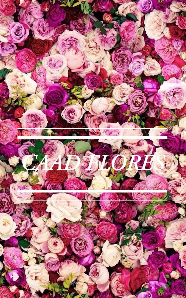 CaadFlores's tweet photo. Sabías Que? 

Las rosas son comestibles y son de hecho, una gran fuente de vitamina C? 

#CaadFlores #Rosas #Flores #floristeria #floreria #cafetales #servicioadomocilio #viernes https://t.co/LxID3DVdL7