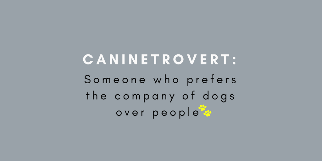 DogiZone's tweet image. Who agrees?
#caninetrovert