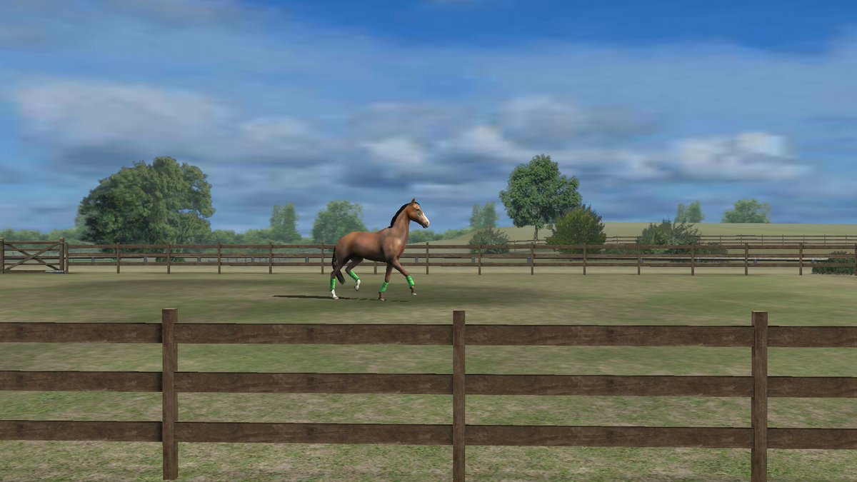Zoutbinette's tweet photo. Viens voir ma photo ! Ajoute-moi, zoutbinette. #MyHorse https://t.co/Z1xVs3hYZd