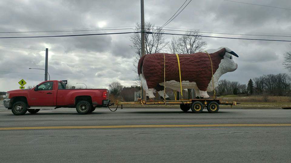 KHorodnick's tweet photo. What a bunch of Bull! https://t.co/YA7dMpjQ6S