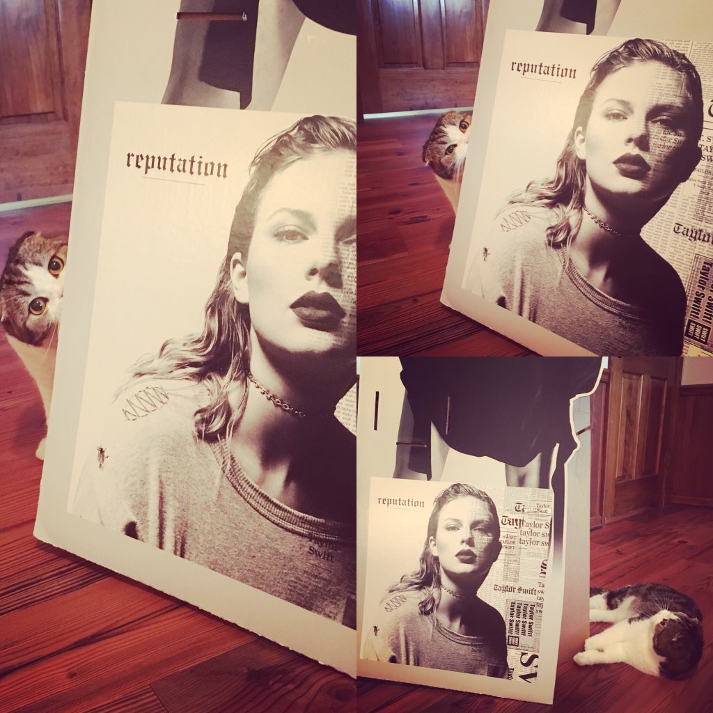 _13SwiftlikeTay's tweet photo. A CATASTROPHE HAPPENED JUST A LITTLE WHILE AGO! 😹😹😹Coco was ADMIRING & ❤️ing on my REP Stand of Tay & bumped it and it FELL RIGHT ON TOP OF HER! These are pics BEFORE THE CATASTROPHE! 😹 @taylorswift13 #TaylorNationWeekendHang #Delicate #tsdelicate #reputationStadiumTour https://t.co/tHjAQJTc06