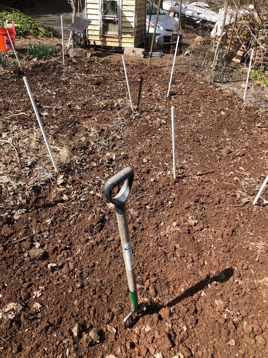 Finally the snow is gone and the soil dry enough to turn. This is the thirtieth spring I have worked this soil by hand. #earthmonth #foodforclimate