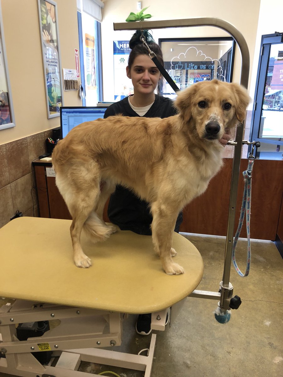 petsmart2480 tweet media