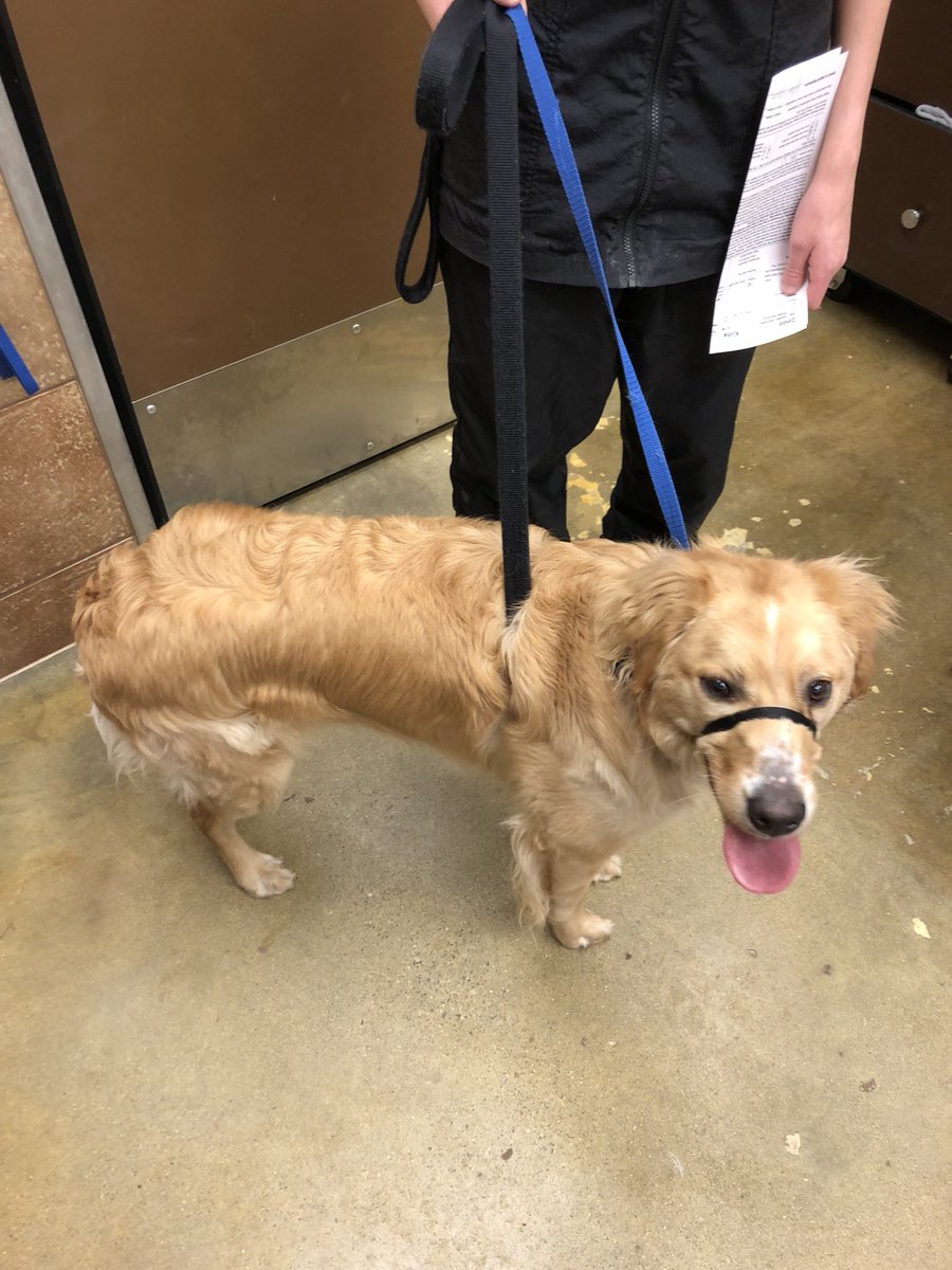 petsmart2480 tweet media