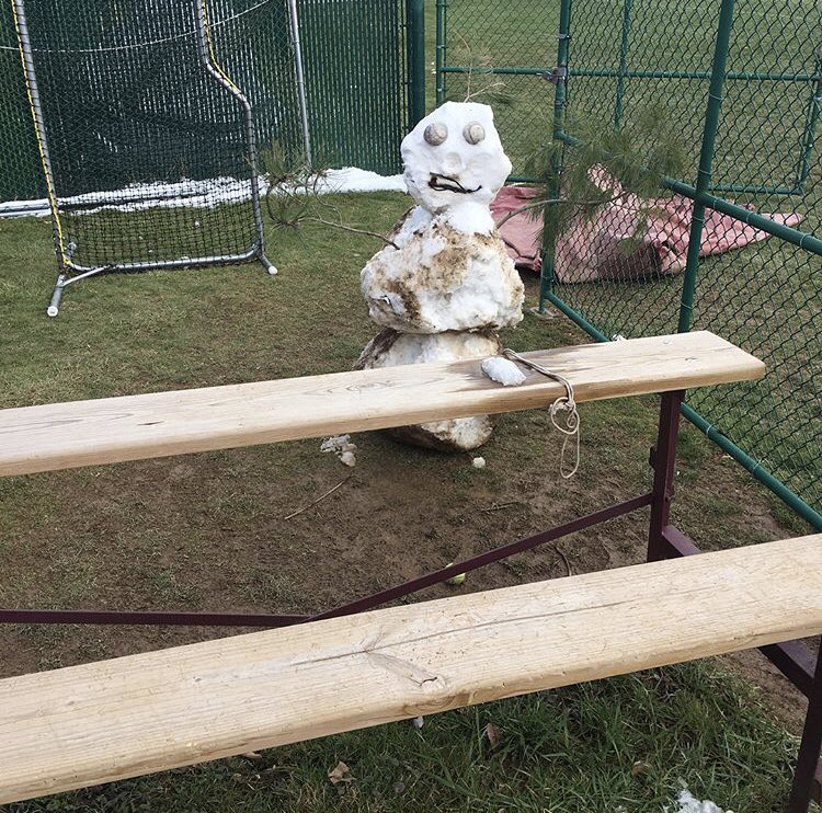 BeboutThat_Life's tweet photo. What a few hours of field work can do. #d2problems @FoulPoleSports https://t.co/nYR3QBdsQP