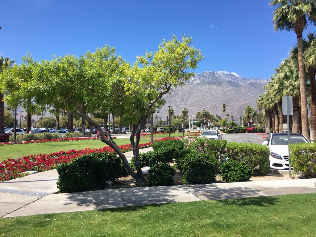 hvrectanus's tweet image. Arrived in Palm Springs for  ChlorCon #Chlorinated18