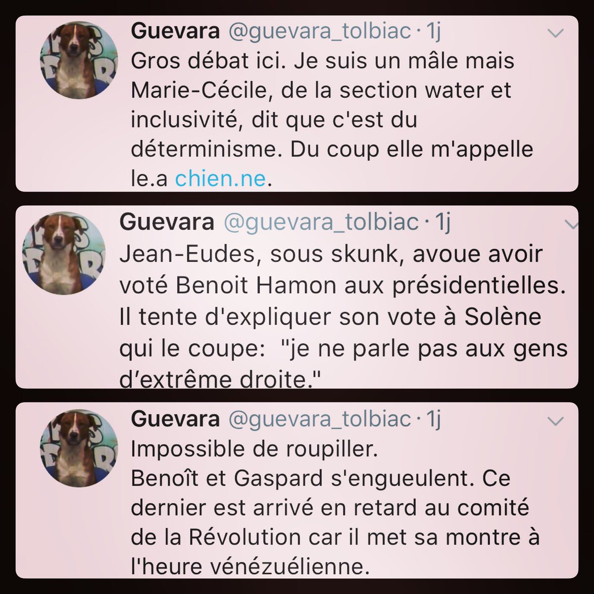 Boidalon's tweet photo. Les #PepiTweets de @Guevara_Tolbiac, chien iconoclaste par obligation syndicale, otage de la #Revolution prolétarienne des #Millenials anti capitalistes porteurs de #StanSmith et consommateurs compulsifs d’#Iphone X... https://t.co/Zq5ESHp6U4