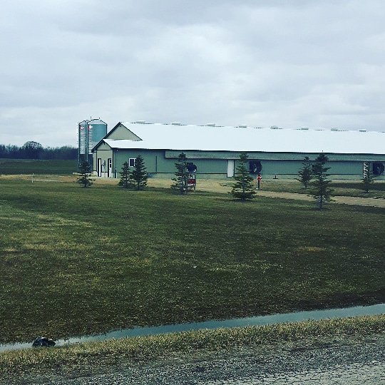 Slamenar10's tweet photo. Sometimes you work on a Saturday. Farming not a 9 to 5 job. @ClarkAgSystems always ready to serve #chickens #iheartchickenfarmers #lovemyjob https://t.co/WdeoIF3V98