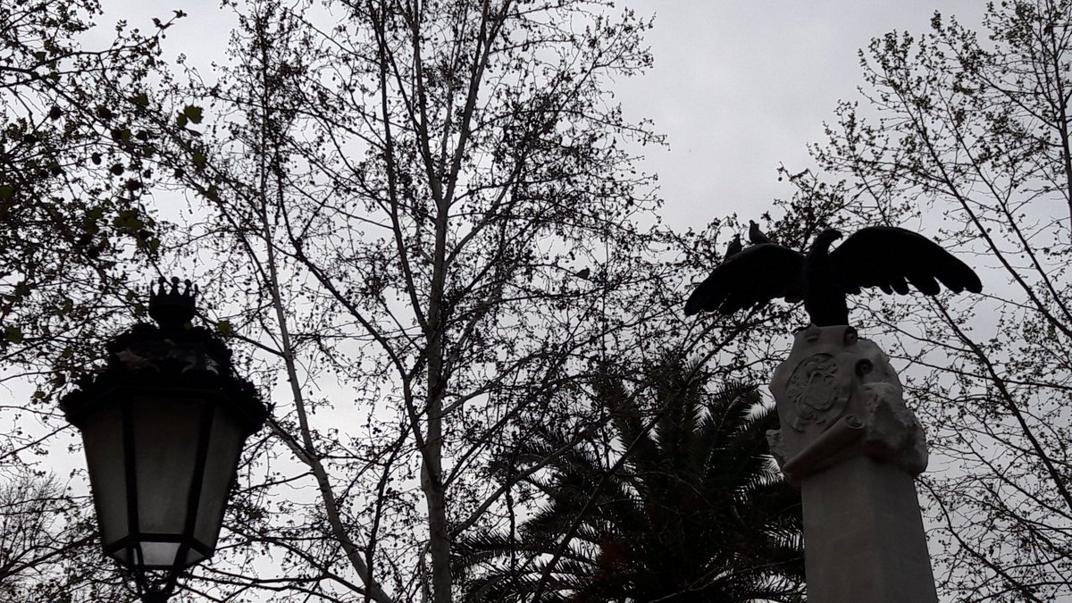rafaelnieto66's tweet photo. ... a pesar del gris del paisaje, no os quepa la más mínima duda, que levantaremos el vuelo, porque nuestras alas sustentan lealtad, honestidad y transparencia, teniendo como única motivación la Equidad en la atención sanitaria en Granada y Andalucía! @fidel_FQ @berege7 @CarmGGr https://t.co/wIdAHEJiC4