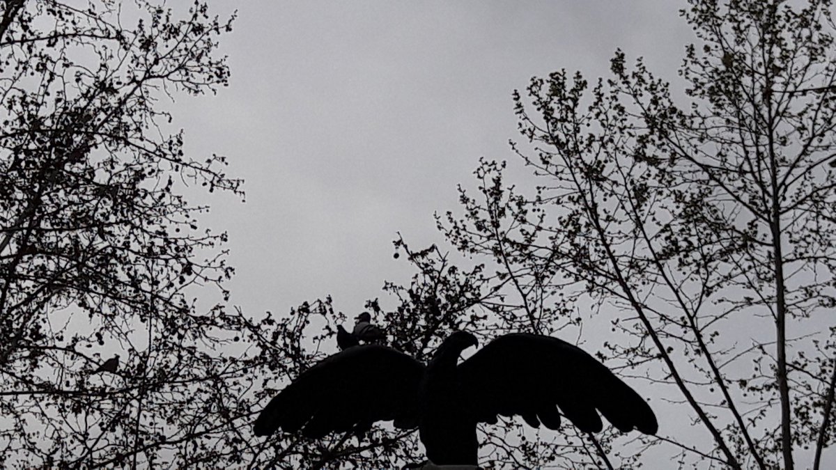 rafaelnieto66's tweet photo. ... a pesar del gris del paisaje, no os quepa la más mínima duda, que levantaremos el vuelo, porque nuestras alas sustentan lealtad, honestidad y transparencia, teniendo como única motivación la Equidad en la atención sanitaria en Granada y Andalucía! @fidel_FQ @berege7 @CarmGGr https://t.co/wIdAHEJiC4