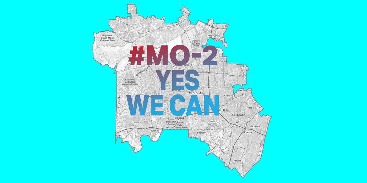MO2ndDist4Chg's tweet photo. @indivisiblestl @paulwaldman1 @MOActionPAC @FwdTogetherSTL @AMarch4STLLives #YesWeCan organize, energize and win! #TimeForChange2018 https://t.co/iS29r86IGb