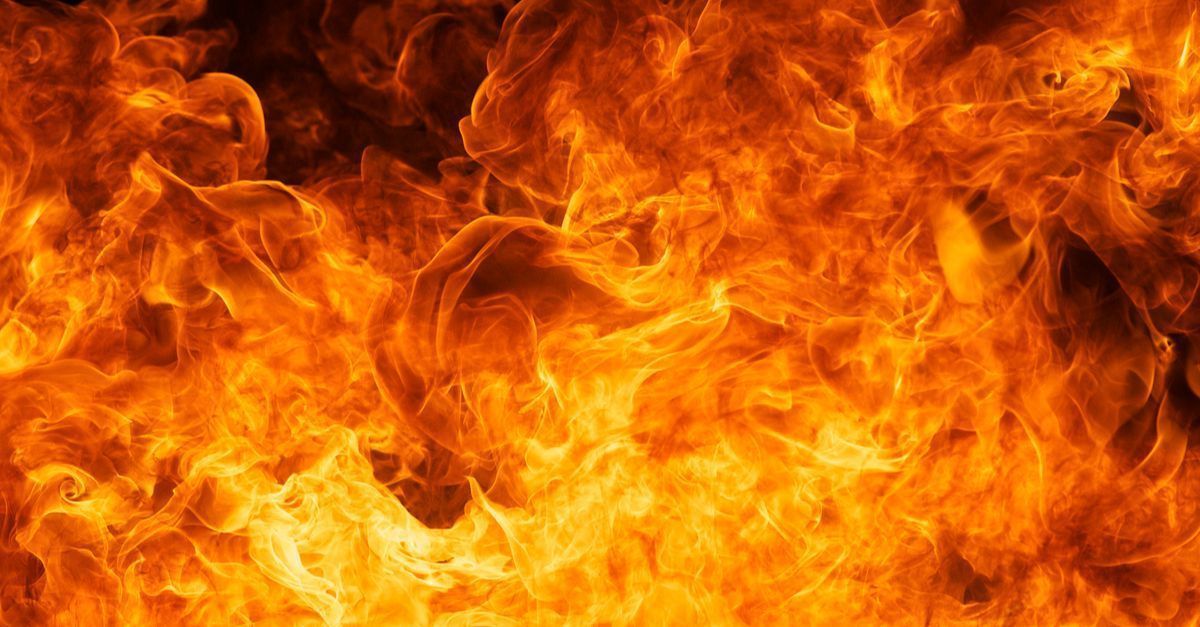 Cohesity's tweet photo. [ICYMI] @NetworkWorld's list of 10 Hot Storage Companies to Watch is out! Read more about the momentum in the #storage industry and why you should keep an eye out for Cohesity: https://t.co/dRNUAZbSLH #HotStorageStartups https://t.co/qhF583jYy3