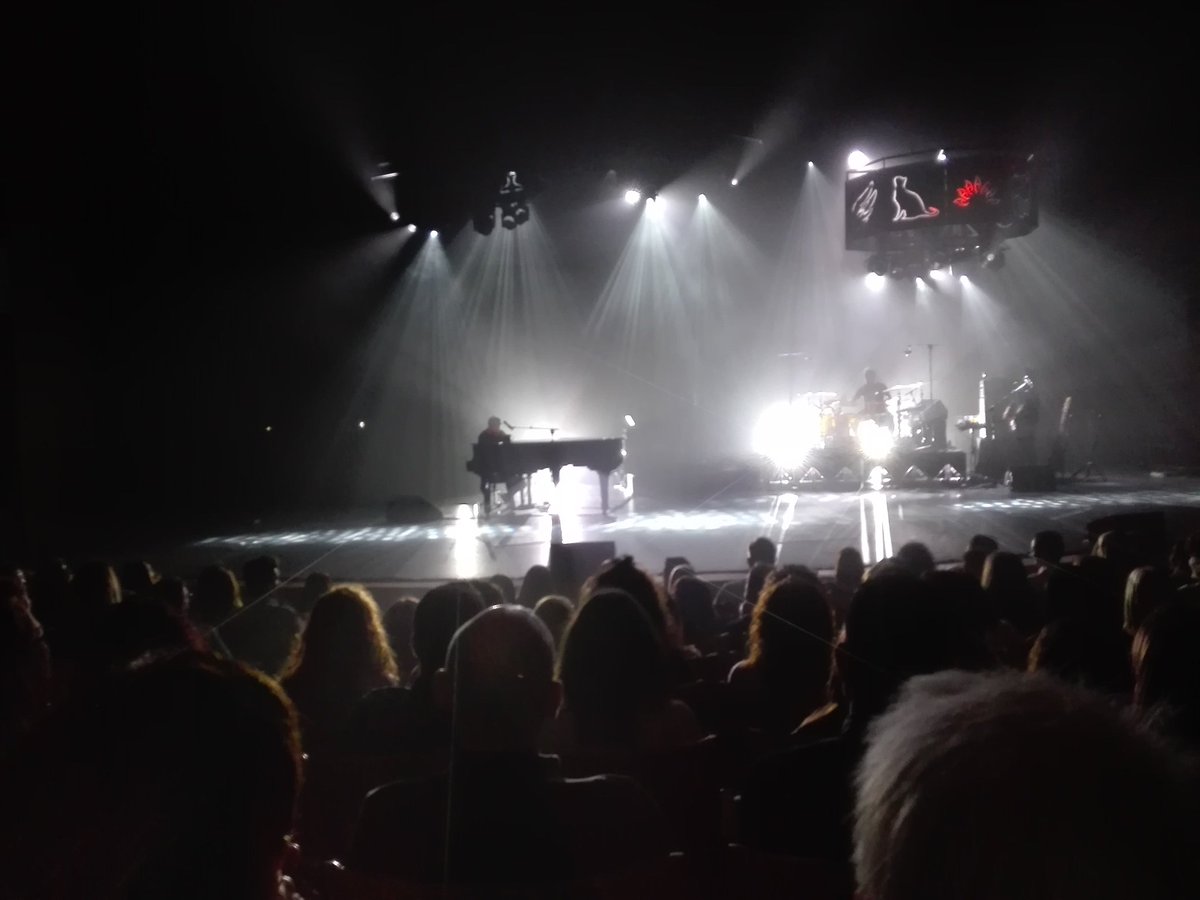 Heleniu82's tweet photo. Da gusto ver como @PabloLopezMusic se gana , a cada uno de sus seguidores en cada uno de sus concierts, ha sido todo un placer. Nos vemos en octubre. Yo soy una de esas nuevas seguidoras, gracias por tu musica y a ti @PatriciaArchena por llevarme a conciertos tan bonicos https://t.co/OlI59twvdN