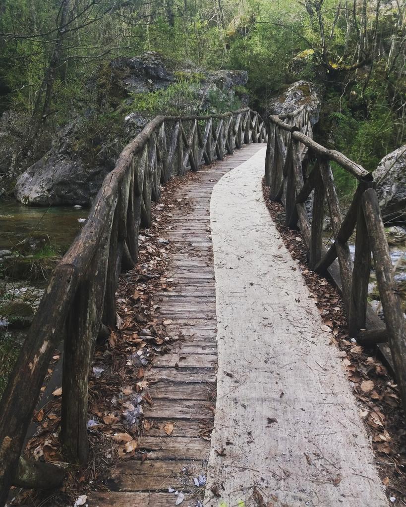 Hiking only rewarding can be! #mtOlympus #naturelovers #mountainlovers #hikingculture #outdoorlife
