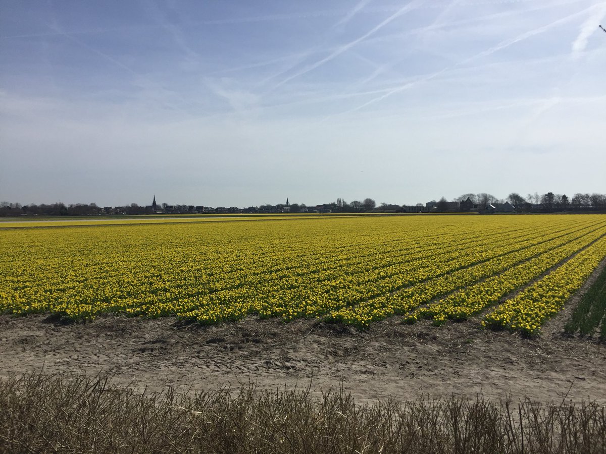 laurentdieste's tweet photo. Tour des Tulipes 🌷 along with @YousefED & @Magic_Mickael as personal wind-shields! 💨🚲
Check it on @relivecc ➡️ https://t.co/Klm3vEMXDx
#ReliveCycling https://t.co/RKIbbULLLE