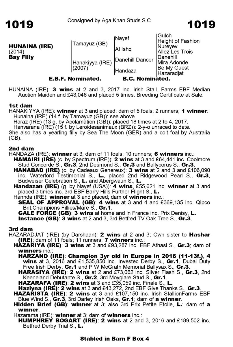 AgaKhanStuds's tweet photo. Bred and sold by the Aga Khan Studs at the 2017 @Goffs1866 Breeding
Stock Sale, Hunaina won the LR Snowdrop Fillies' Stakes at @kemptonparkrace
today for her new connections. She belongs to the family of dual Derby hero
#Harzand. #Sourceofsuccess https://t.co/PXi7SXI88N