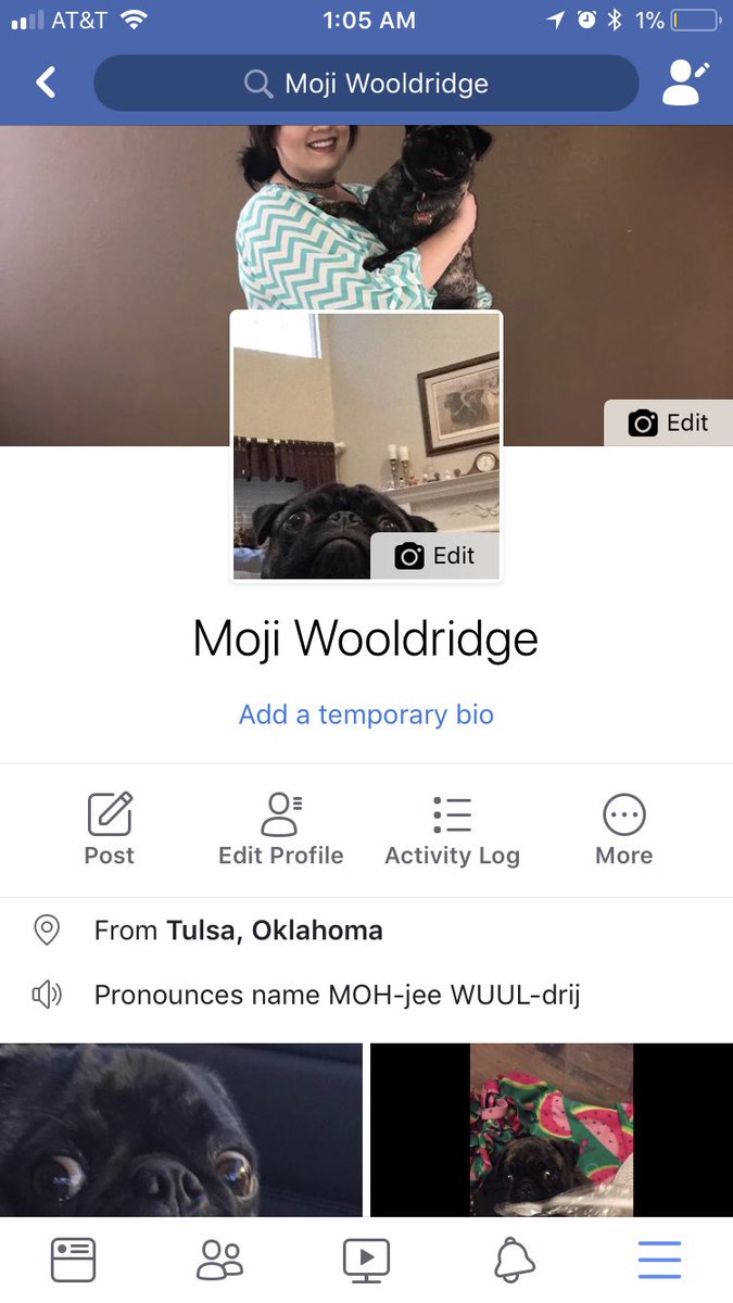Mojithepug's tweet photo. Hello friends! I’m happy to announce that our FB Page is up and running! Please feel free to add us and tune into our #barkboxday !! Pugs and Kisses 🐶😘 #mojithebrindlepug #barkbox #pug #pugsofinstagram #pugs #facebook #facebooklive #toys #treats #dogsofinstagram https://t.co/kKEJNszv5d