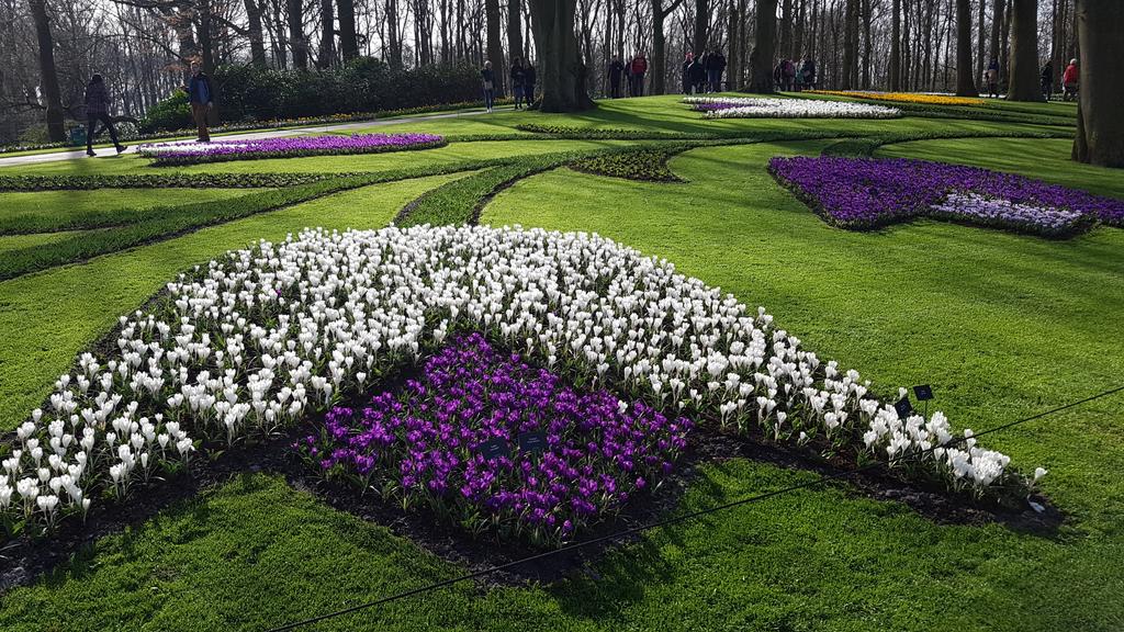 jsheunis's tweet photo. In the Netherlands, they make tulips out of... tulips https://t.co/wDwRWALIUV