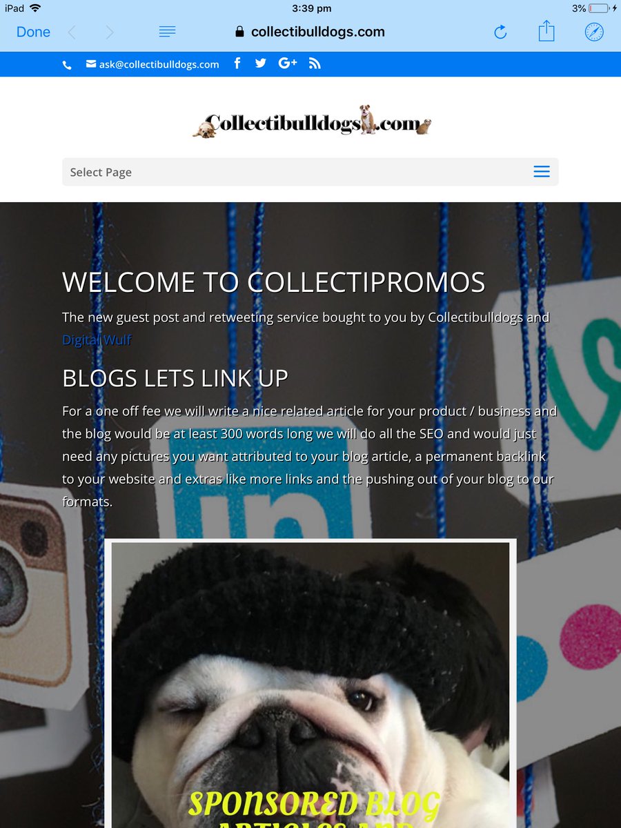 collectibulldog's tweet photo. #Exposure for your #Business #product or #blog at https://t.co/Iraw7rYVxU a #keyword enriched #article will be #written reviewed and #published with a #linkback to your #website #shop or own #interested #feature
#blogwriting #DA #PR #domainrankings #pagerankings #seo #exposure https://t.co/ZyBA6g8LoV