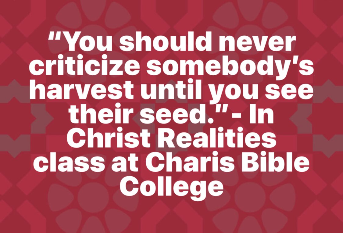 vniere's tweet photo. What seeds have you sown? If you don’t like your harvest, change your seed. 🌱🌾🥀 https://t.co/y8t6kEa2t2