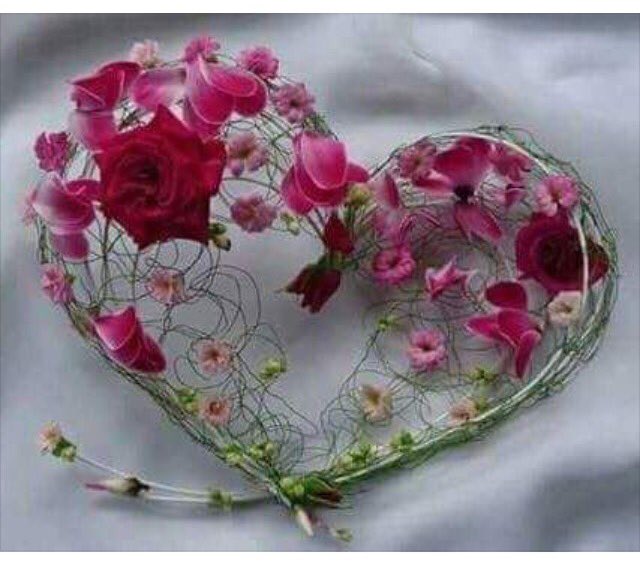 H_T__H's tweet photo. الإخلاص الورد جميلاً حتى بعد ان يذبل...
ان لا تنسى انك انحنيت
يوماً لتتنفس من عطره https://t.co/Fv7kq6iZH0