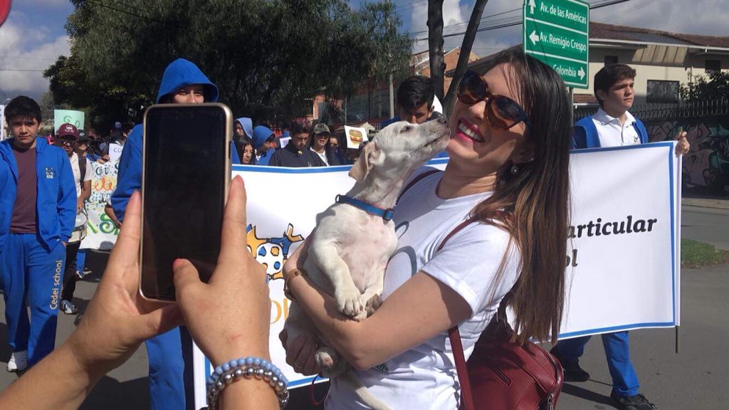 GabiBritoA's tweet photo. En la Caminata #SaludParaTodos por #Cuenca 😍

¡Qué alegría cuando nos unimos por causas comunes! 

“La salud no es solo la ausencia de enfermedad, sino la armonía con uno mismo y el entorno.”

#DiaMundialDeLaSalud 
#SembrandoFuturo ❤️💛 https://t.co/2NqENQfNYJ