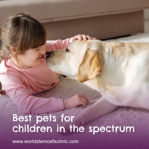 wscc_mx's tweet photo. If it hasn't come yet, it will. That moment when your child asks for a pet. 
Here are some tips that can help you make the BIG decision of adding a member to your family. 
Source: https://t.co/a1aVCTLuFd . -#Autism #pets https://t.co/Dl0a1SRGEe