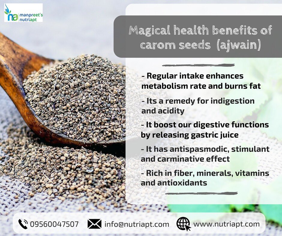 nutriapt's tweet photo. Carom Seeds: Spicy little wonder with colossal healing values.
Ajwain is one of the important herbs for Indian kitchen to make the Indian cuisine tasty. Apart from making the food tasty, the herb has many health and medicinal benefits.
#healthyfood #ajwain #caromseeds #nutriapt https://t.co/4Z8Sz9iLk2