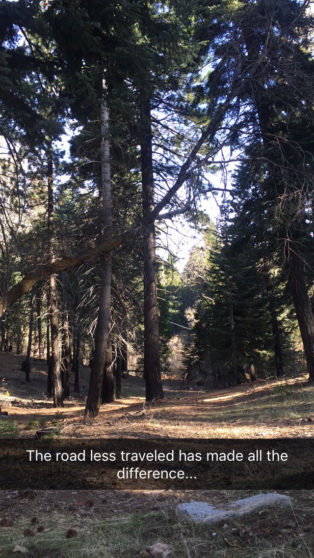 Sometimes amid the chaos of life there is solace in nature. #running #hiking #nature